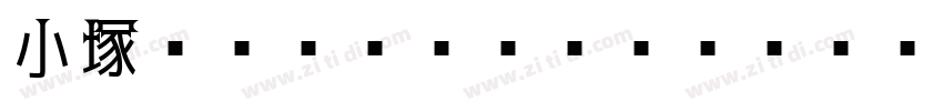 小塚ゴシック Pr6N M Regula字体转换